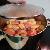  Sproing Pics (22/51)